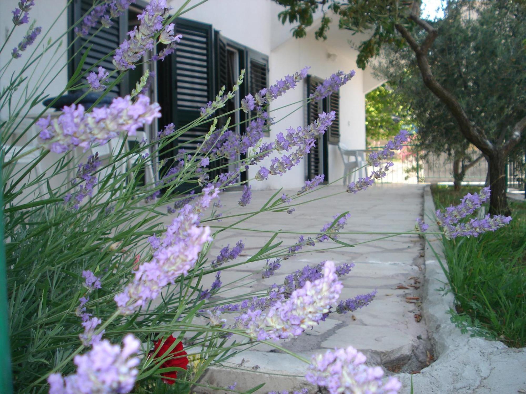 Apartments Smiljana Omiš Екстериор снимка